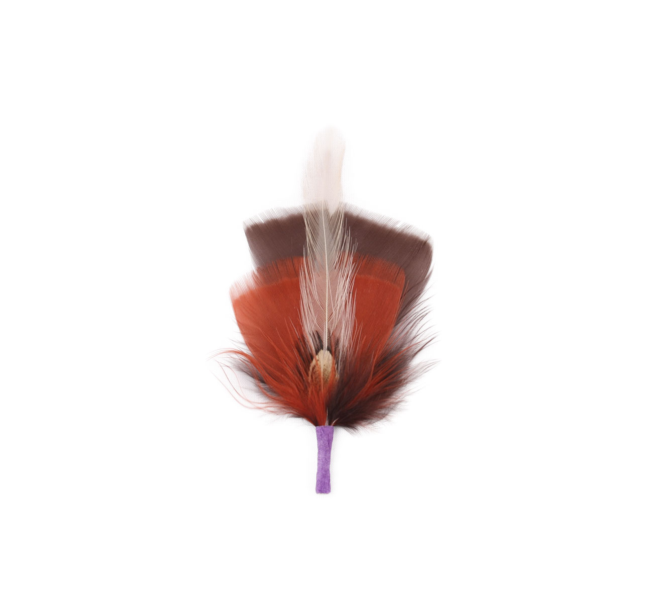 plume chapeau plume chapeau