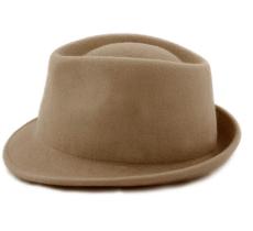 Mon Trilby Feutre