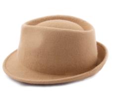 Mon Trilby Feutre