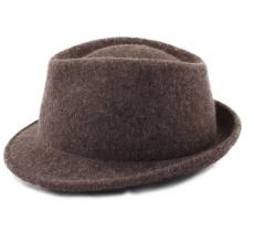 Mon Trilby Feutre