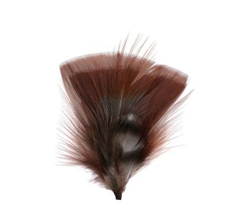 Plumes pour chapeau Plumes Pour Chapeau